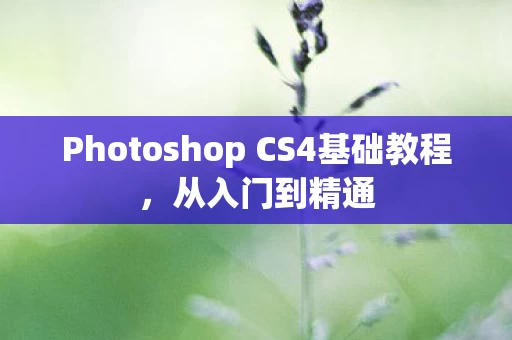 Photoshop CS4基础教程图片