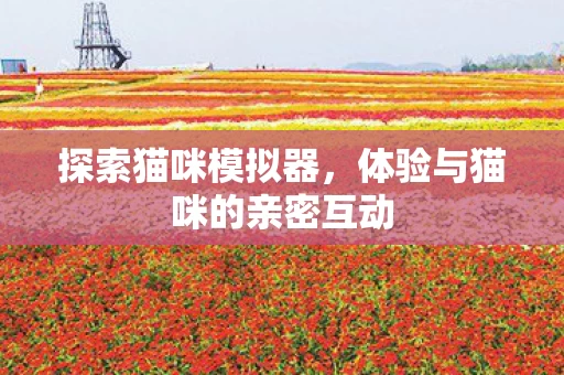 体验与猫咪的亲密互动图片