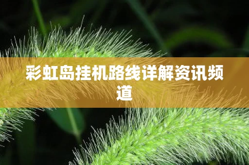 彩虹岛挂机路线详解资讯频道图片