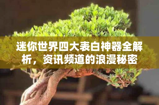 迷你世界四大表白神器全解析图片