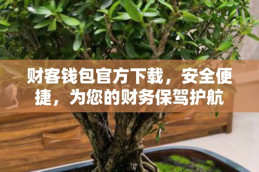 为您的财务保驾护航图片