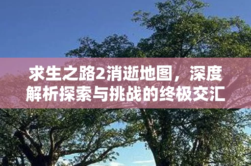 深度解析探索与挑战的终极交汇图片