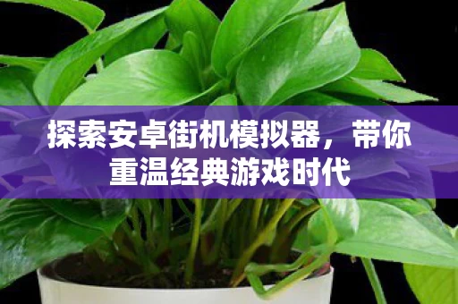 带你重温经典游戏时代图片