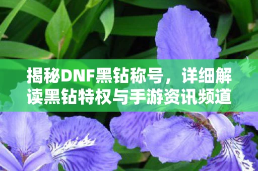 详细解读黑钻特权与手游资讯频道图片