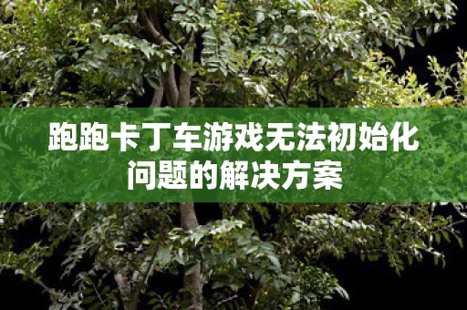 跑跑卡丁车游戏无法初始化问题的解决方案图片