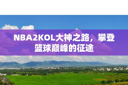 NBA2KOL大神之路图片