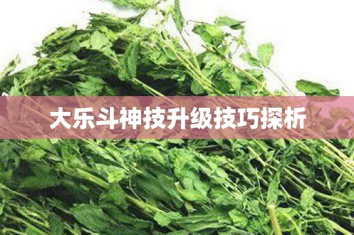 大乐斗神技升级技巧探析图片