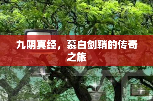 慕白剑鞘的传奇之旅图片
