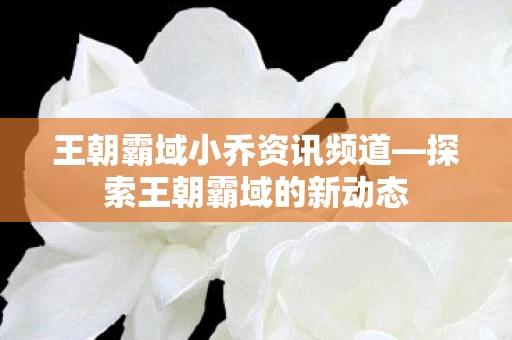 王朝霸域小乔资讯频道图片