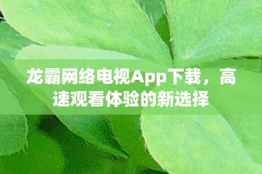 龙霸网络电视App下载图片