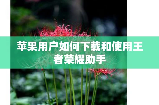 苹果用户如何下载和使用王者荣耀助手图片