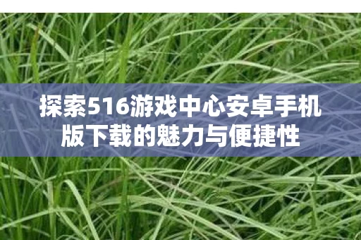 探索516游戏中心安卓手机版下载的魅力与便捷性图片