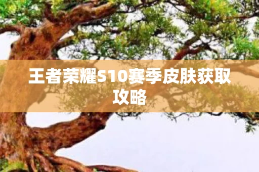 王者荣耀S10赛季皮肤获取攻略图片