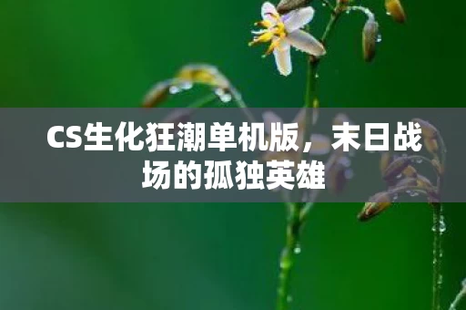 CS生化狂潮单机版图片