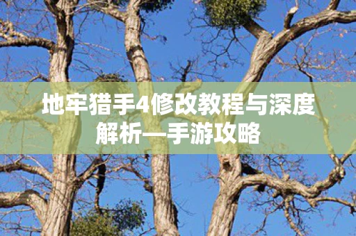 地牢猎手4修改教程与深度解析图片