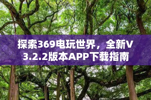 2版本APP下载指南图片