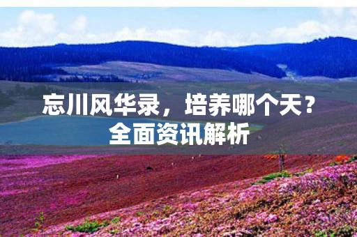 全面资讯解析图片