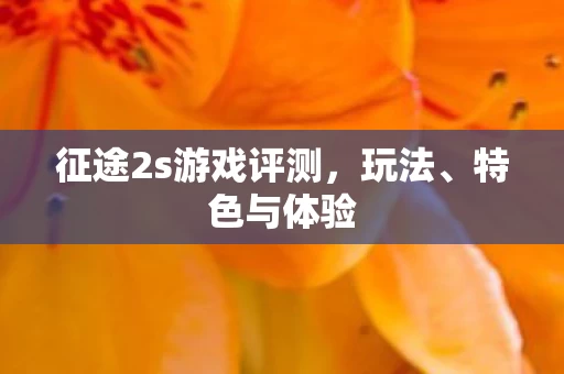 征途2s游戏评测图片