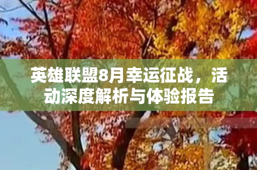 活动深度解析与体验报告图片