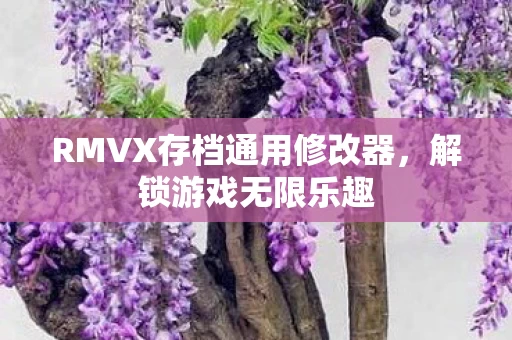 RMVX存档通用修改器图片