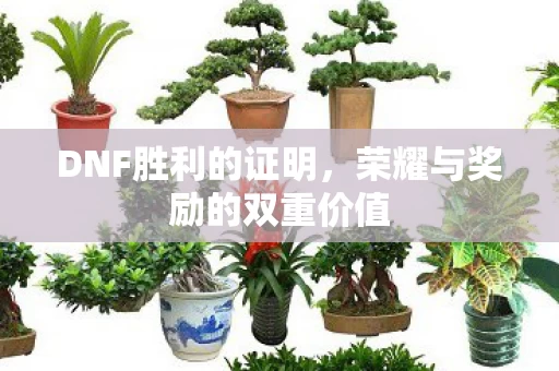 荣耀与奖励的双重价值图片