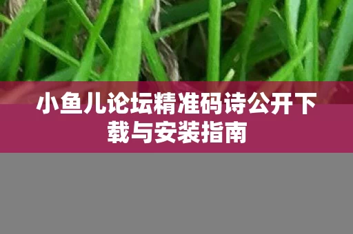 小鱼儿论坛精准码诗公开下载与安装指南图片