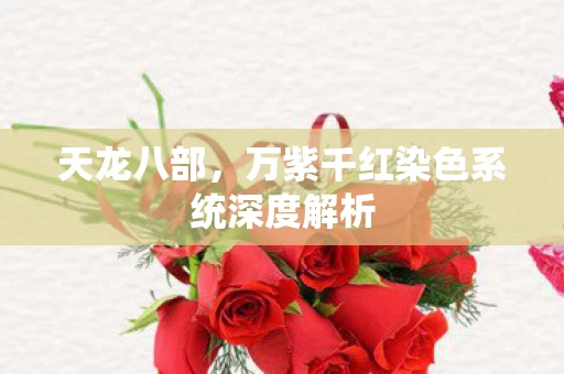 万紫千红染色系统深度解析图片