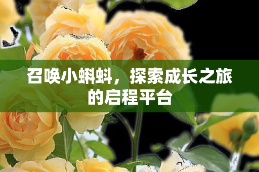 探索成长之旅的启程平台图片