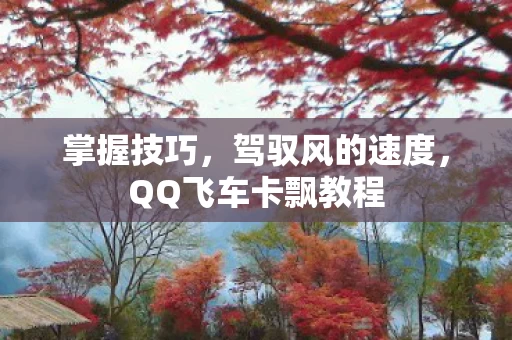 QQ飞车卡飘教程图片