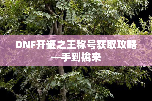 DNF开罐之王称号获取攻略图片