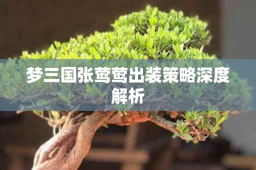 梦三国张莺莺出装策略深度解析图片