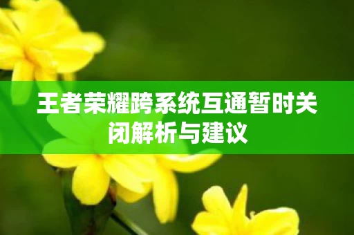 王者荣耀跨系统互通暂时关闭解析与建议图片
