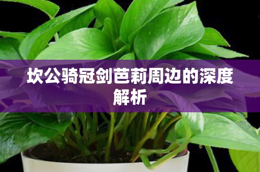坎公骑冠剑芭莉周边的深度解析图片