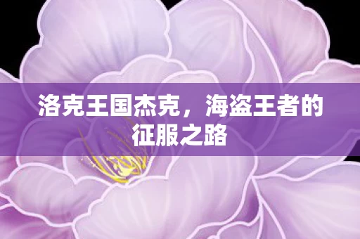 海盗王者的征服之路图片