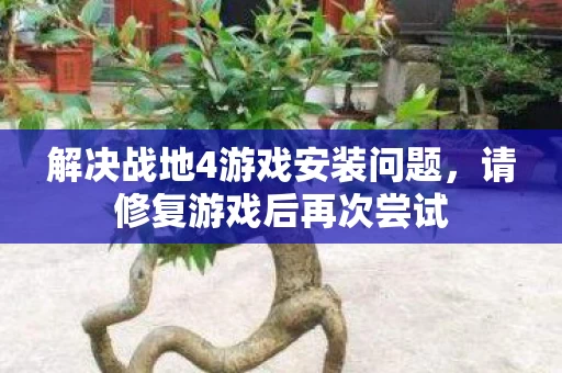解决战地4游戏安装问题图片