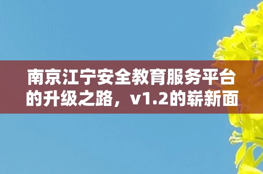 南京江宁安全教育服务平台的升级之路图片