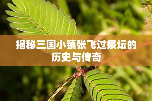 揭秘三国小镇张飞过祭坛的历史与传奇图片