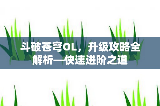 升级攻略全解析图片