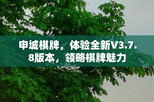 体验全新V3图片
