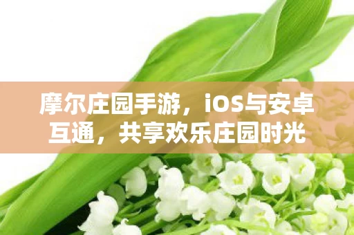 iOS与安卓互通图片