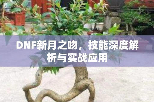 技能深度解析与实战应用图片