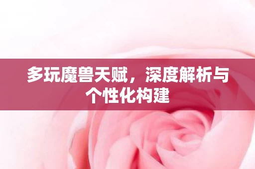 深度解析与个性化构建图片