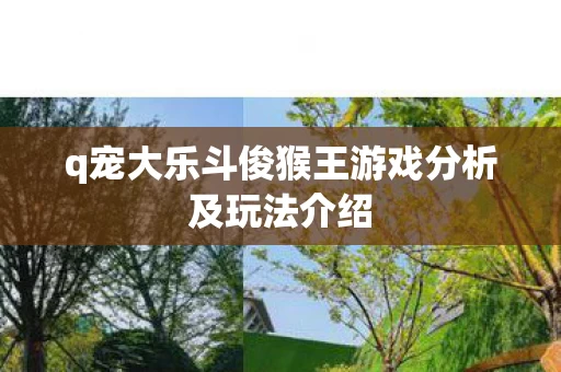 q宠大乐斗俊猴王游戏分析及玩法介绍图片