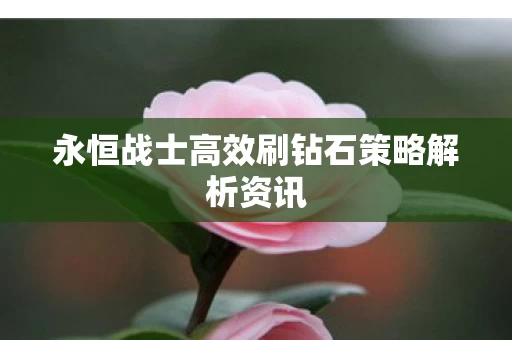 永恒战士高效刷钻石策略解析资讯图片