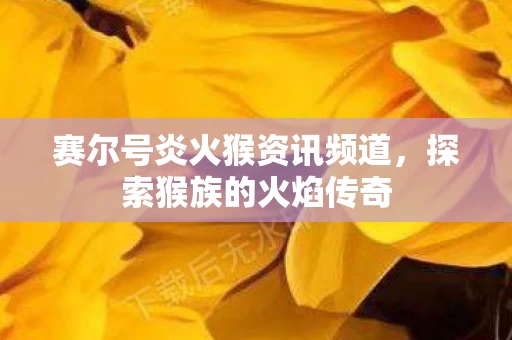 赛尔号炎火猴资讯频道图片