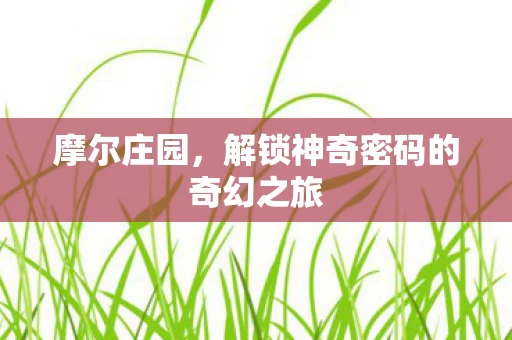 解锁神奇密码的奇幻之旅图片