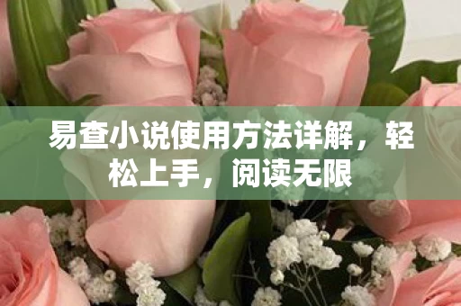 易查小说使用方法详解图片