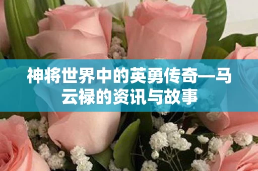 神将世界中的英勇传奇图片
