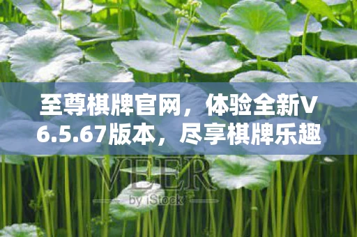 至尊棋牌官网图片