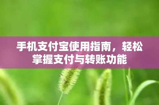 轻松掌握支付与转账功能图片